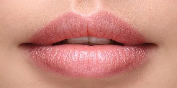 lip 3